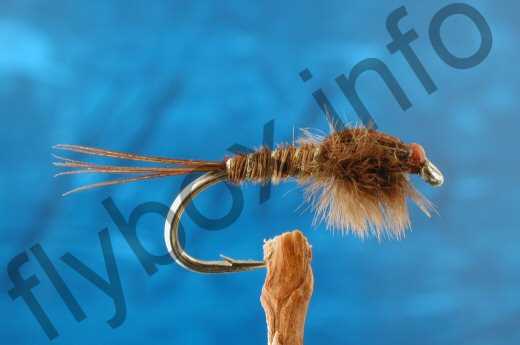 Collyer's Brown Nymph